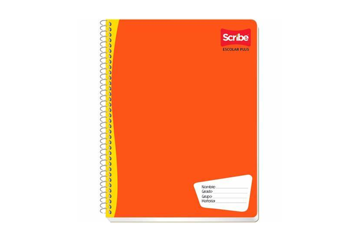 2970/7970 CUADERNO SCRIBE ESCOLAR PROF RAYA 100H