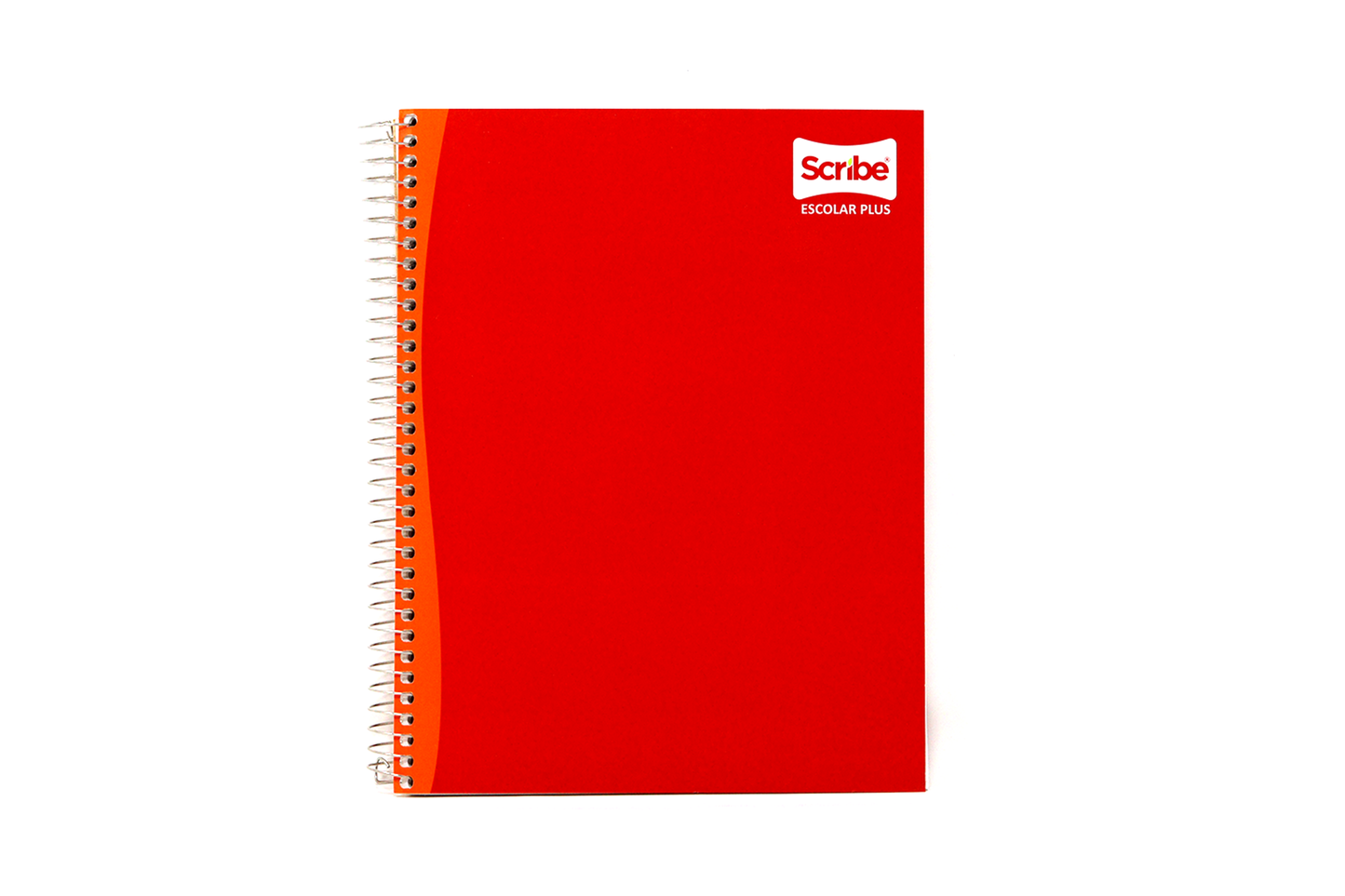 2530 CUADERNO SCRIBE PROF RAYA 200H MEGA