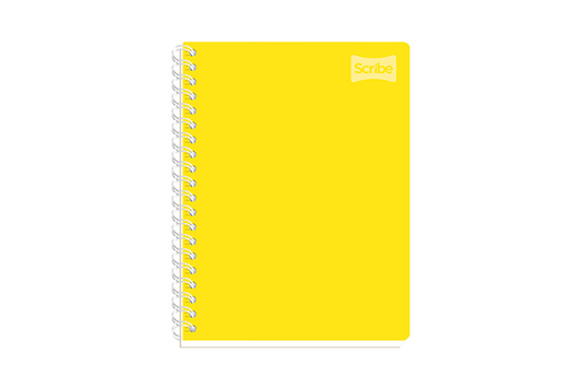 2050 CUADERNO SCRIBE PROF POLYCOVER 100H RAYA ESP