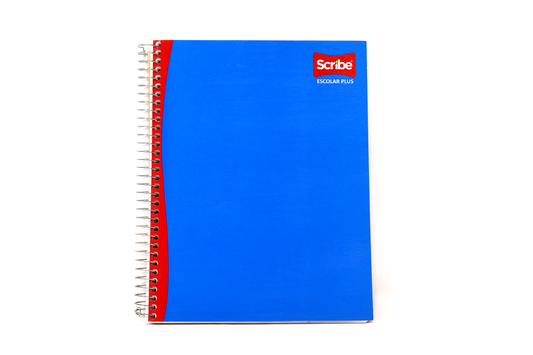 2532 CUADERNO SCRIBE 5 MM C/200 HJS