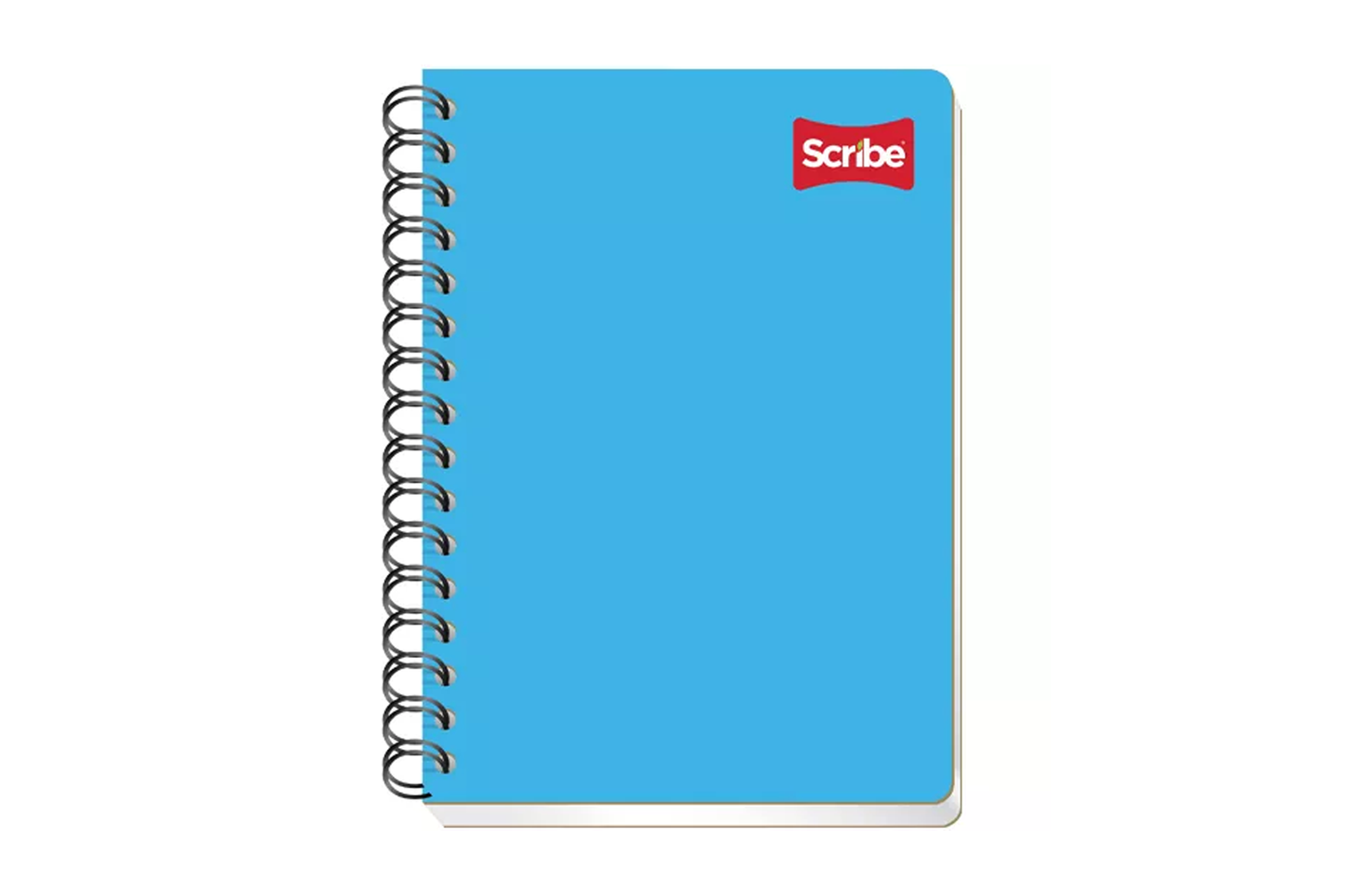 1600 CUADERNO SCRIBE FRAN RAYA 100H ESPI