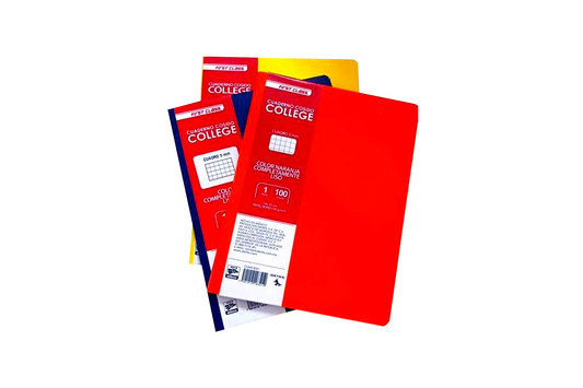 CUADERNO DIETRIX PROF COSIDO 100H 5MM